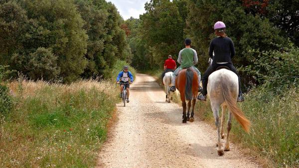 3 jinetes con sus caballos cabalgan por la vía y se cruzan con un ciclista